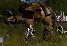 奇迹MU 流浪商人海罗德 NPC